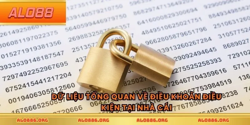 Dữ liệu tổng quan về điều khoản điều kiện tại nhà cái